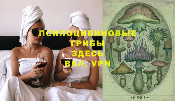 ГАЛЛЮЦИНОГЕННЫЕ ГРИБЫ Володарск