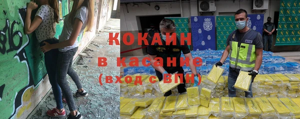 ГАЛЛЮЦИНОГЕННЫЕ ГРИБЫ Володарск