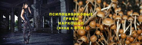 ГАЛЛЮЦИНОГЕННЫЕ ГРИБЫ Володарск