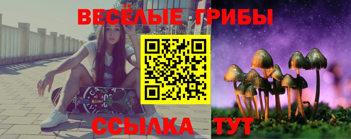 Пушкино  Галлюциногенные грибы ЛСД  Вход с VPN 